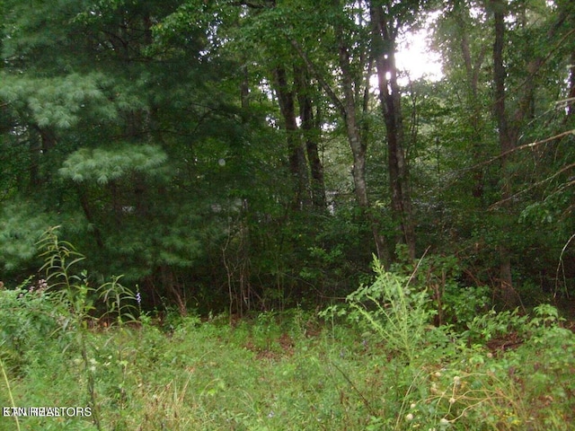 8029 Saratoga Dr, Crossville TN, 38572 land for sale