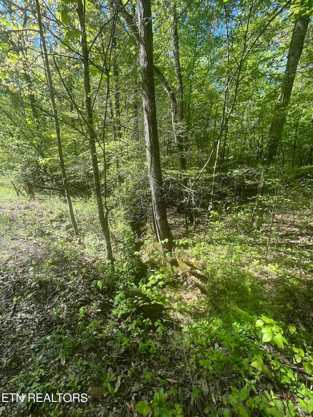 0 Lake Overlook Dr, Rockwood TN, 37854 land for sale