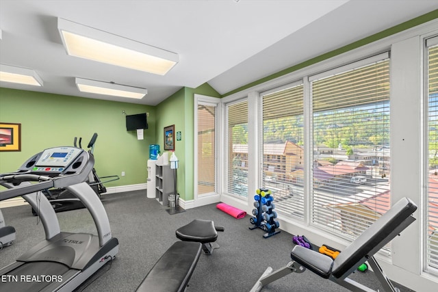 gym featuring lofted ceiling and carpet