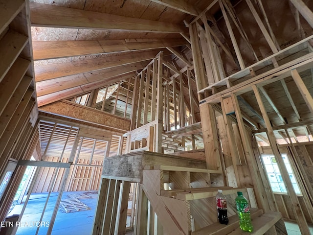 miscellaneous room featuring lofted ceiling