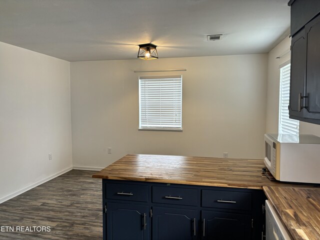 kitchen featuring butcher block counters, plenty of natural light, stainless steel dishwasher, and dark hardwood / wood-style floors