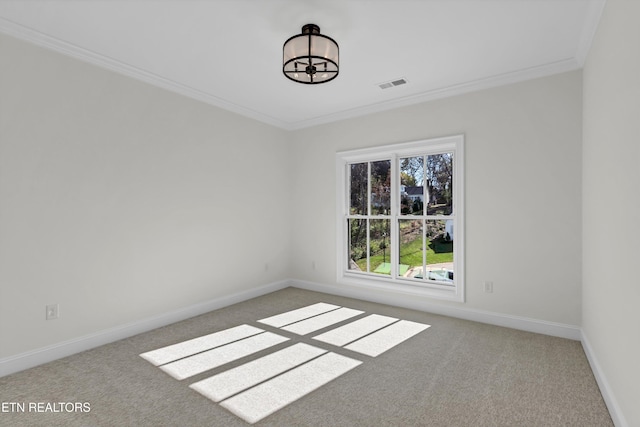 empty room featuring carpet flooring and crown molding