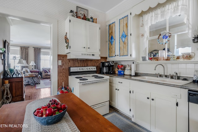 kitchen featuring ventilation hood, electric stove, dishwasher, dark wood-type flooring, and sink