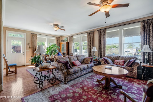 living room featuring a healthy amount of sunlight, wood-type flooring, and ceiling fan