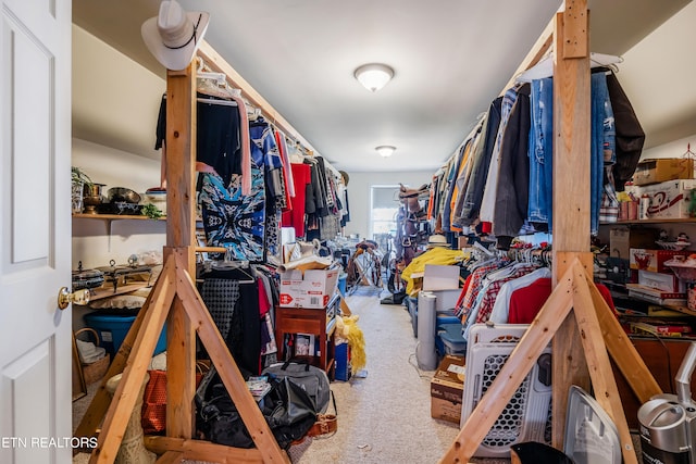 spacious closet with carpet floors