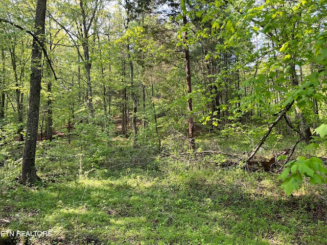 LOT3 Womack Hollow Rd, Ten Mile TN, 37880 land for sale