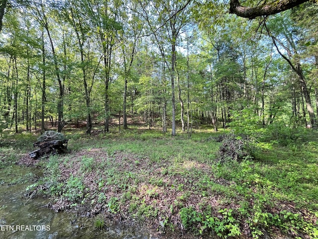 Listing photo 2 for LOT3 Womack Hollow Rd, Ten Mile TN 37880