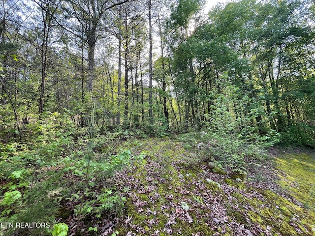 Listing photo 3 for LOT3 Womack Hollow Rd, Ten Mile TN 37880