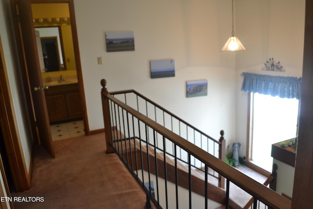 corridor with sink and carpet flooring