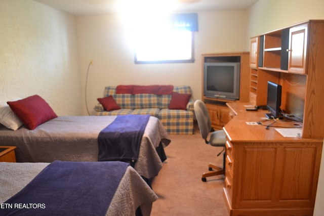 bedroom with carpet flooring