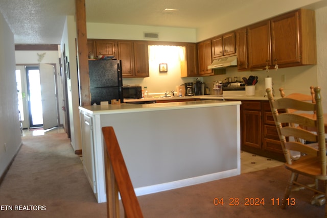 kitchen featuring light carpet, sink, and black appliances