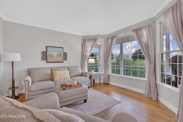 living room featuring light hardwood / wood-style floors and crown molding