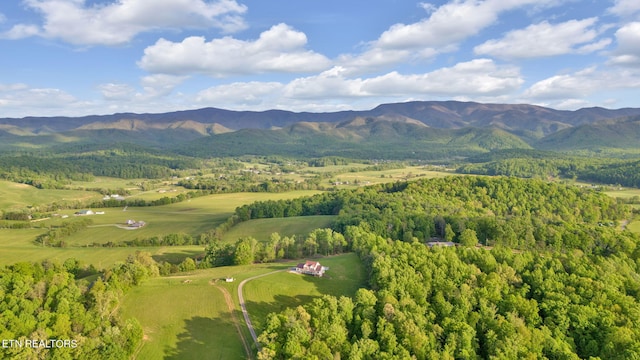 drone / aerial view featuring a mountain view