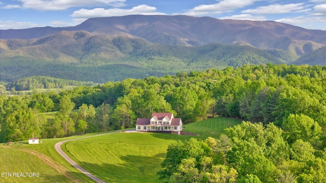 view of mountain view