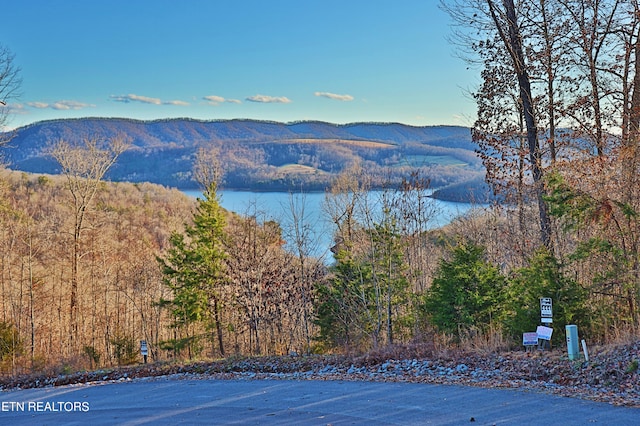 Listing photo 3 for LOT440 Feldspar Rd, New Tazewell TN 37825