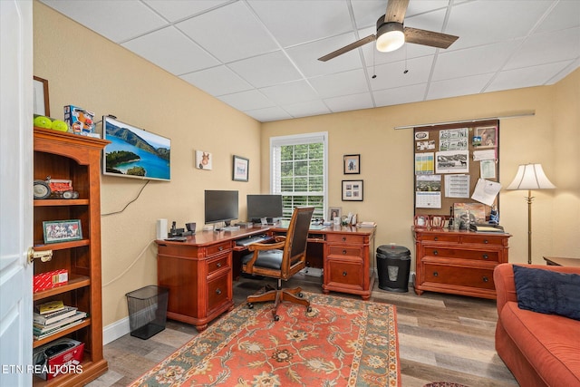 office space featuring hardwood / wood-style flooring, ceiling fan, and a drop ceiling