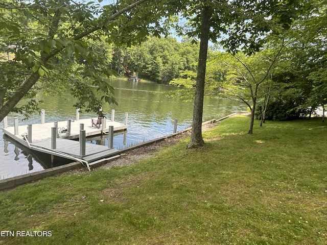 dock area with a water view and a yard