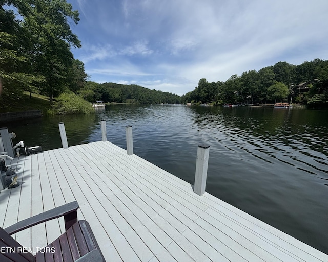 dock area with a water view