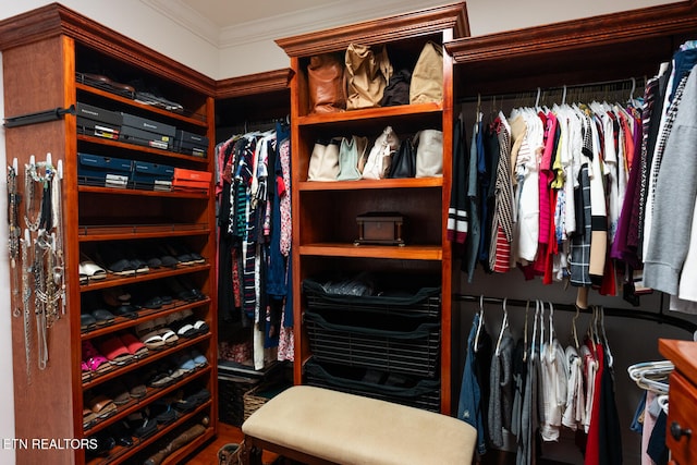 view of walk in closet