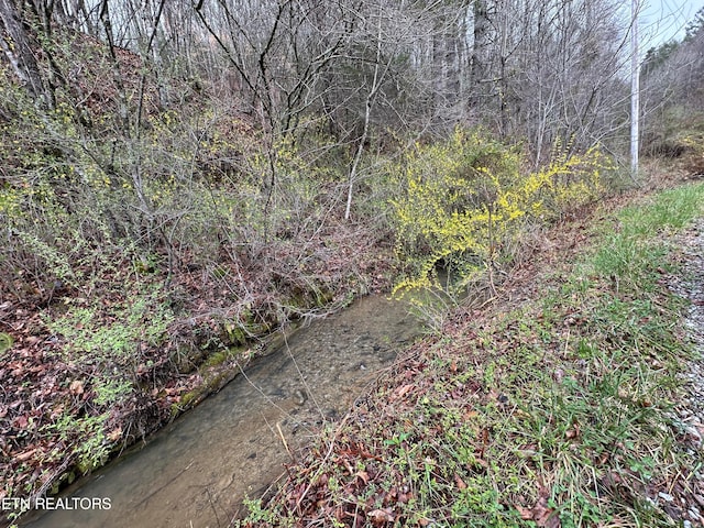 TBD Rock Lick Rd, Keokee VA, 24265 land for sale