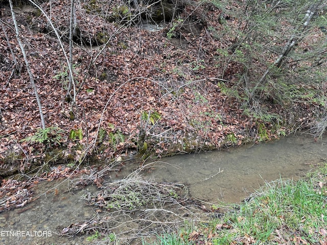 Listing photo 3 for TBD Rock Lick Rd, Keokee VA 24265