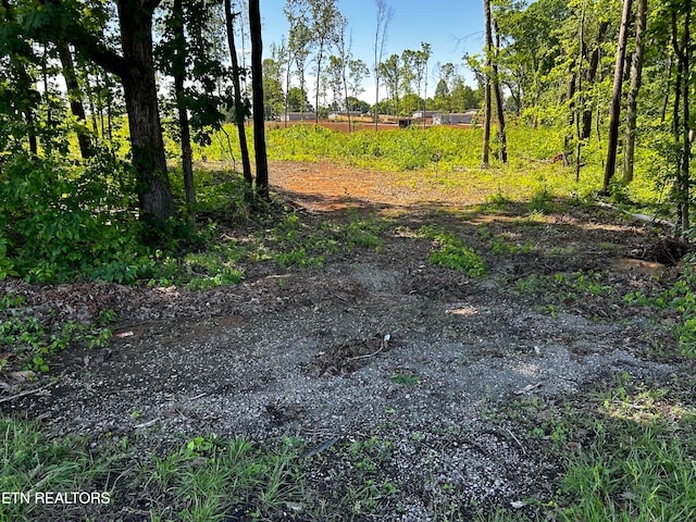 Listing photo 2 for LOT15 New Highway 68, Madisonville TN 37354