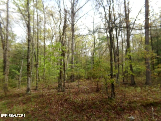 9017 Hondo Dr, Crossville TN, 38572 land for sale