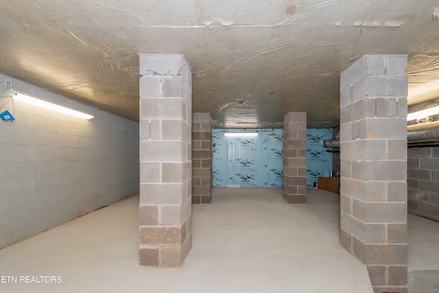 unfinished basement featuring concrete block wall