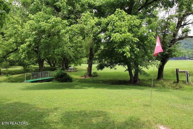 view of home's community featuring a yard