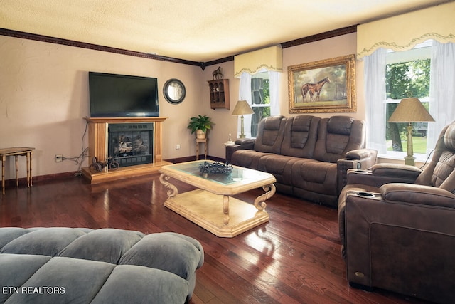 living room featuring ornamental molding, wood-type flooring, and a textured ceiling