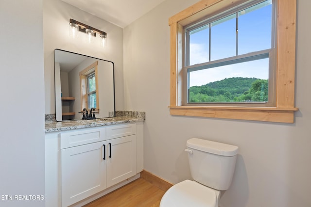 3119 Burns Rd, Sevierville, TN 37862 - bathroom featuring toilet, healthy amount of natural light, vanity, and wood finished floors