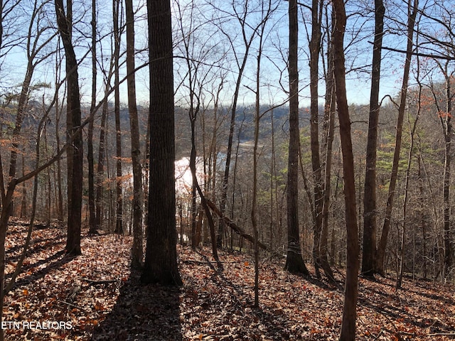 Listing photo 3 for LOT51 Harbor Ln, Lafollette TN 37766