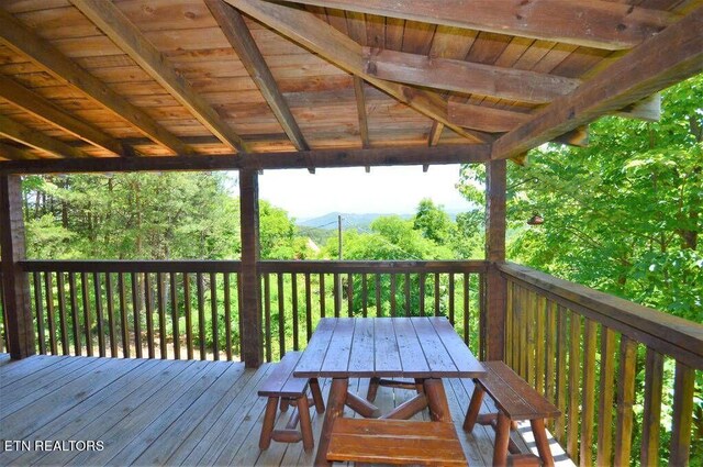 2165 Rising Fawn Way, Sevierville, TN 37876 - photo 23