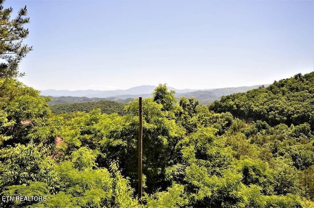 2165 Rising Fawn Way, Sevierville, TN 37876 - photo 25