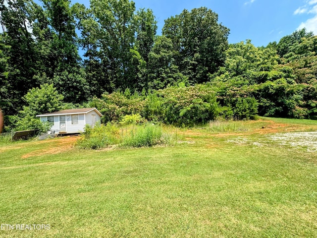 view of yard featuring an outdoor structure