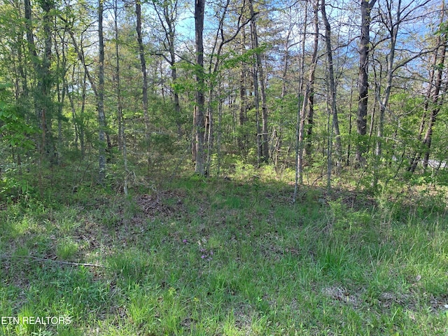 1035 Redwing Dr, Crossville TN, 38572 land for sale