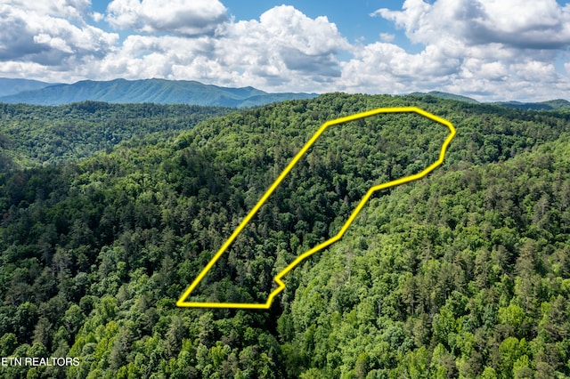 E Lamar Alexander Pkwy, Walland TN, 37886 land for sale