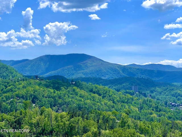 view of mountain feature