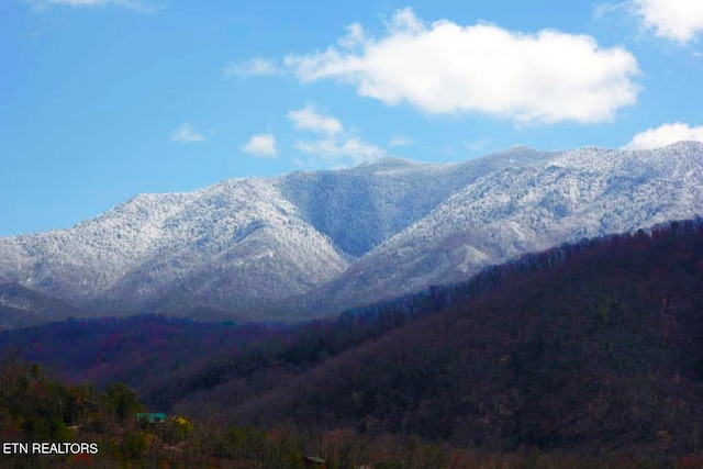 view of mountain view