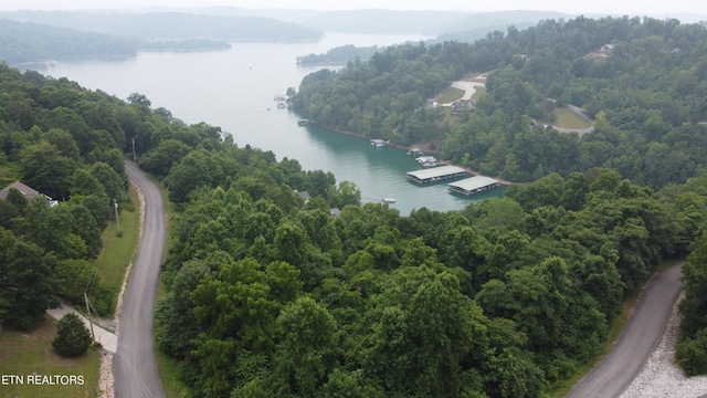 Listing photo 2 for 0 Shanghai Lake Ln, Lafollette TN 37766