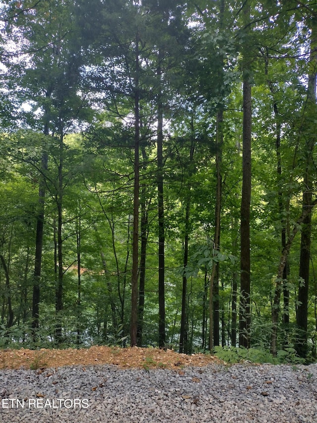 LOT33 Jessee Rd, Maynardville TN, 37807 land for sale