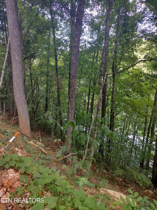 Listing photo 3 for LOT33 Jessee Rd, Maynardville TN 37807