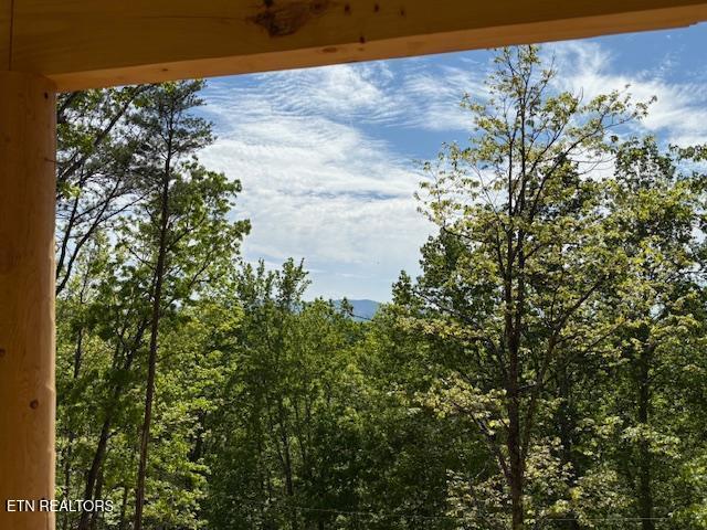1541 Ski View Ln, Sevierville, TN 37876 - view of nature featuring a forest view