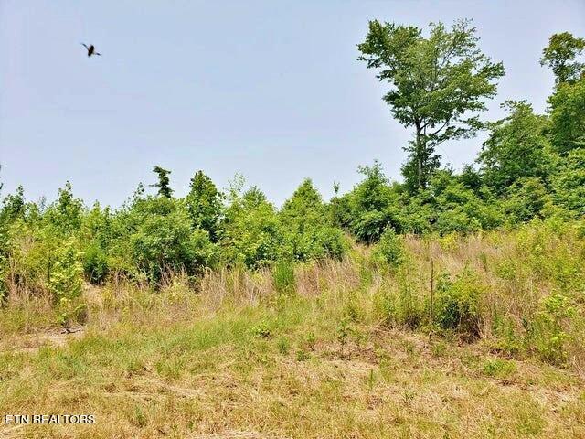 Listing photo 3 for 169 County Road 188, Decatur TN 37322