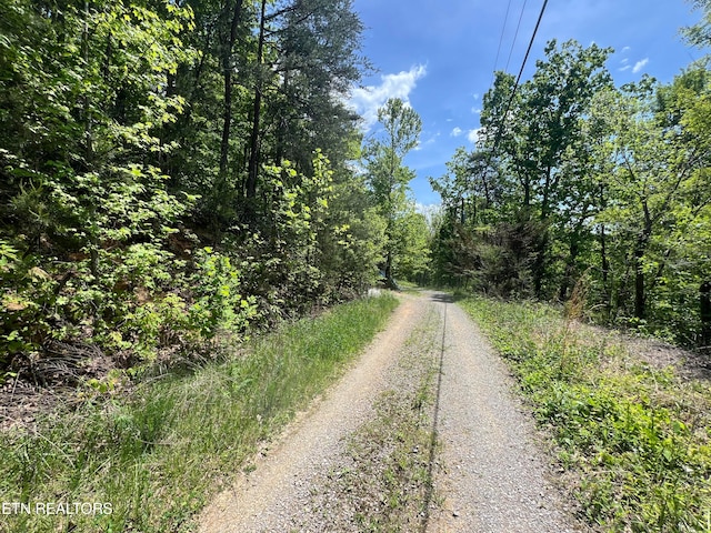 LOT81 Yellowwod Dr, Sevierville TN, 37876 land for sale