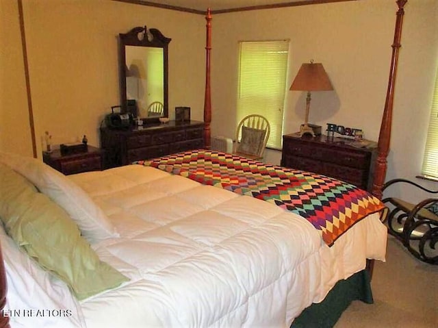 bedroom featuring carpet and radiator heating unit