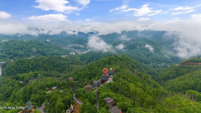 view of bird's eye view