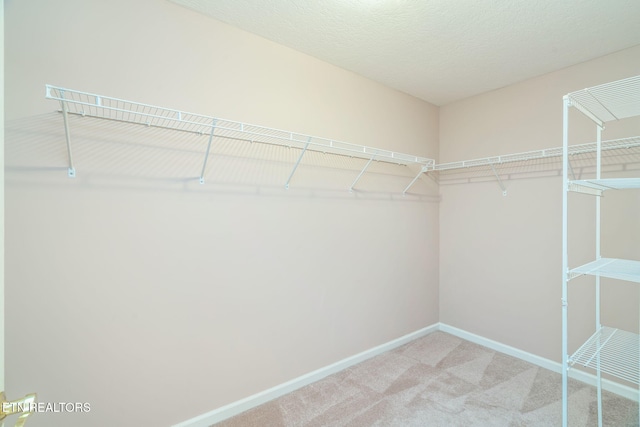 spacious closet with light carpet