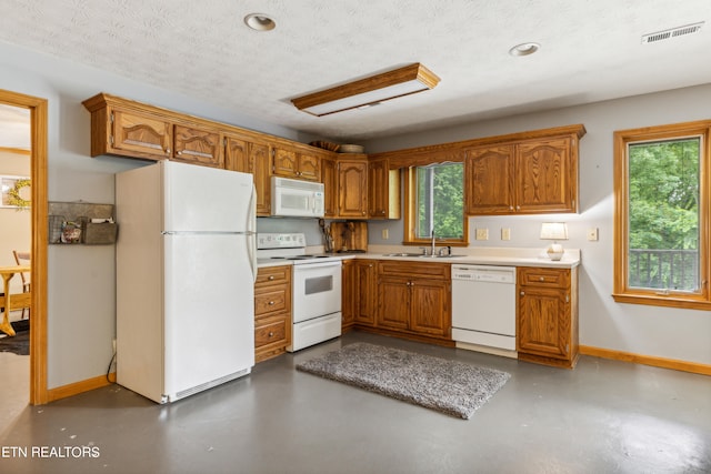 kitchen with a wealth of natural light, sink, white appliances, and a textured ceiling