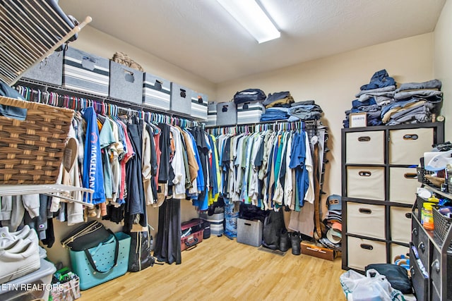 walk in closet with hardwood / wood-style floors